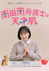Extraordinary Attorney Minami - D.R