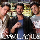 Gavilanes - D.R