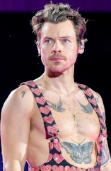 Harry Styles D.R