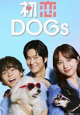 Love Is For the Dogs - D.R
