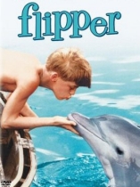 Flipper le Dauphin (1964) - D.R